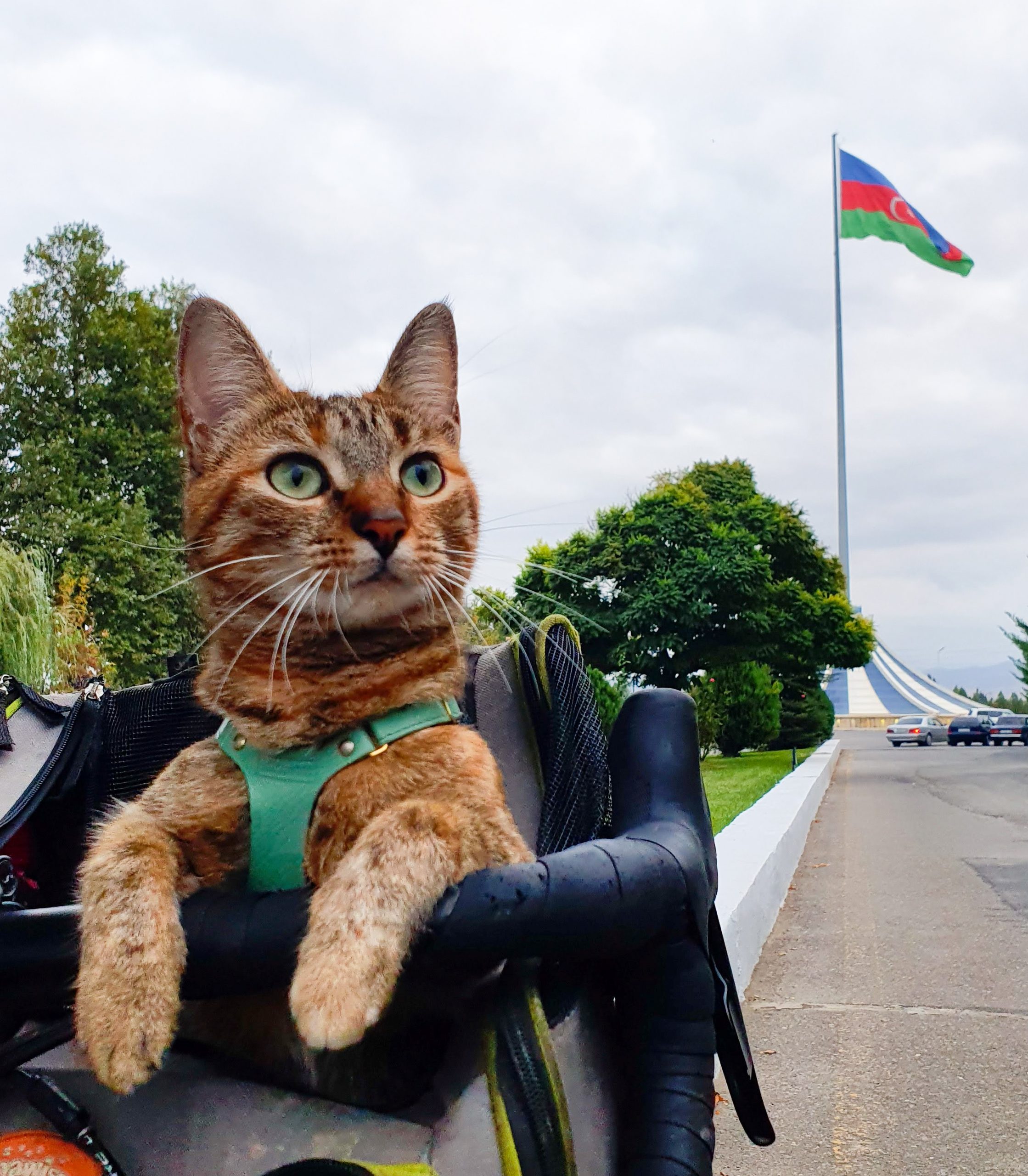 1bike1world 1 bike, 1 cat and a whole world to explore!
