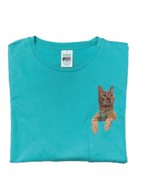 Teal Nala T-shirt